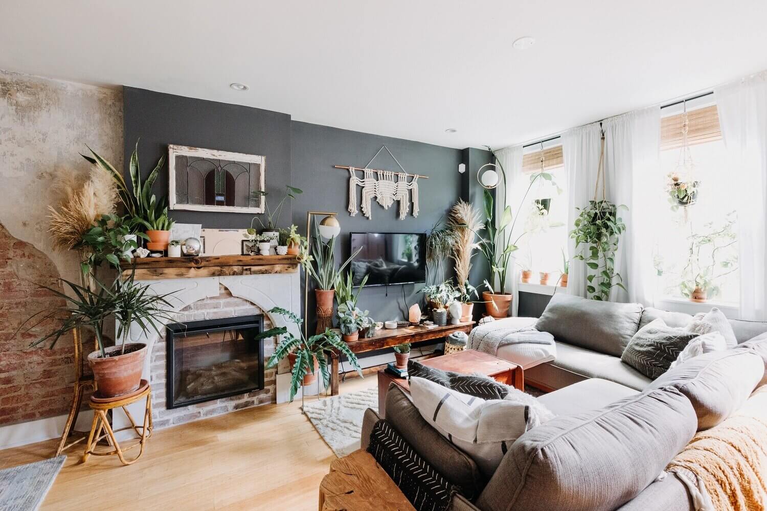 A Cozy Plant-Filled Home in Philadelphia 1 plant filled home philadelphia nordroom A Cozy Plant-Filled Home in Philadelphia