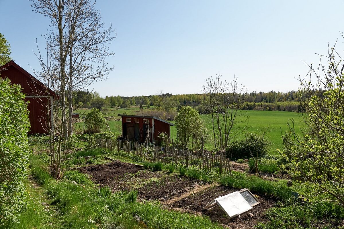 A Vintage Colorful Family Home in the Swedish Countryside 28 vegetable-garden-vintage-house-sweden-nordroom