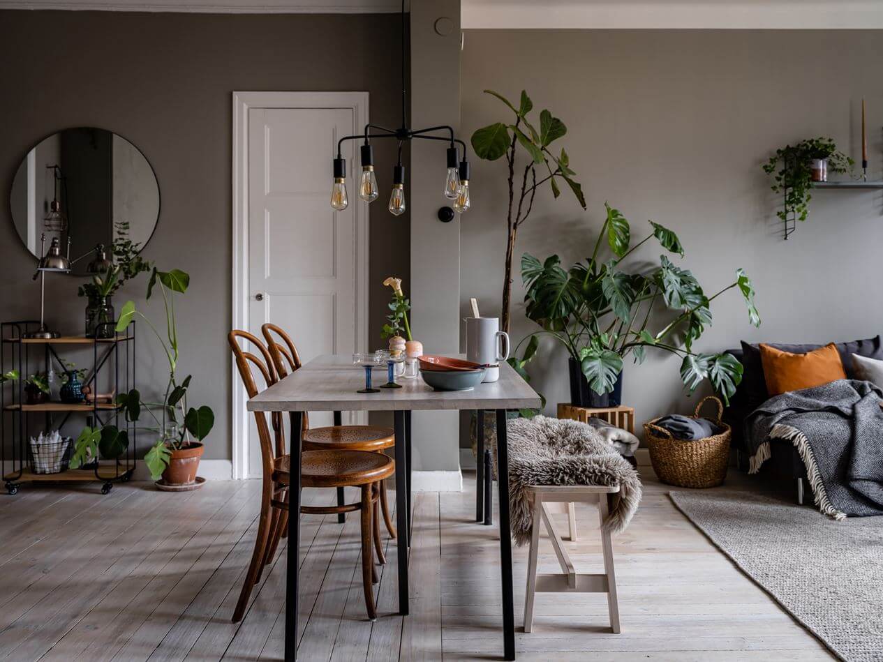 A Gray Nordic Apartment with a Terracotta Bedroom 1 living-room-gray-walls-wooden-floor-nordroom