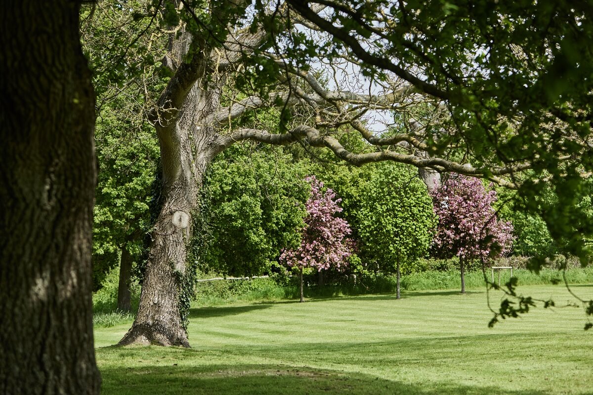 A Restored Georgian House with a Walled Garden 33 english-garden-with-lawn-trees-nordroom
