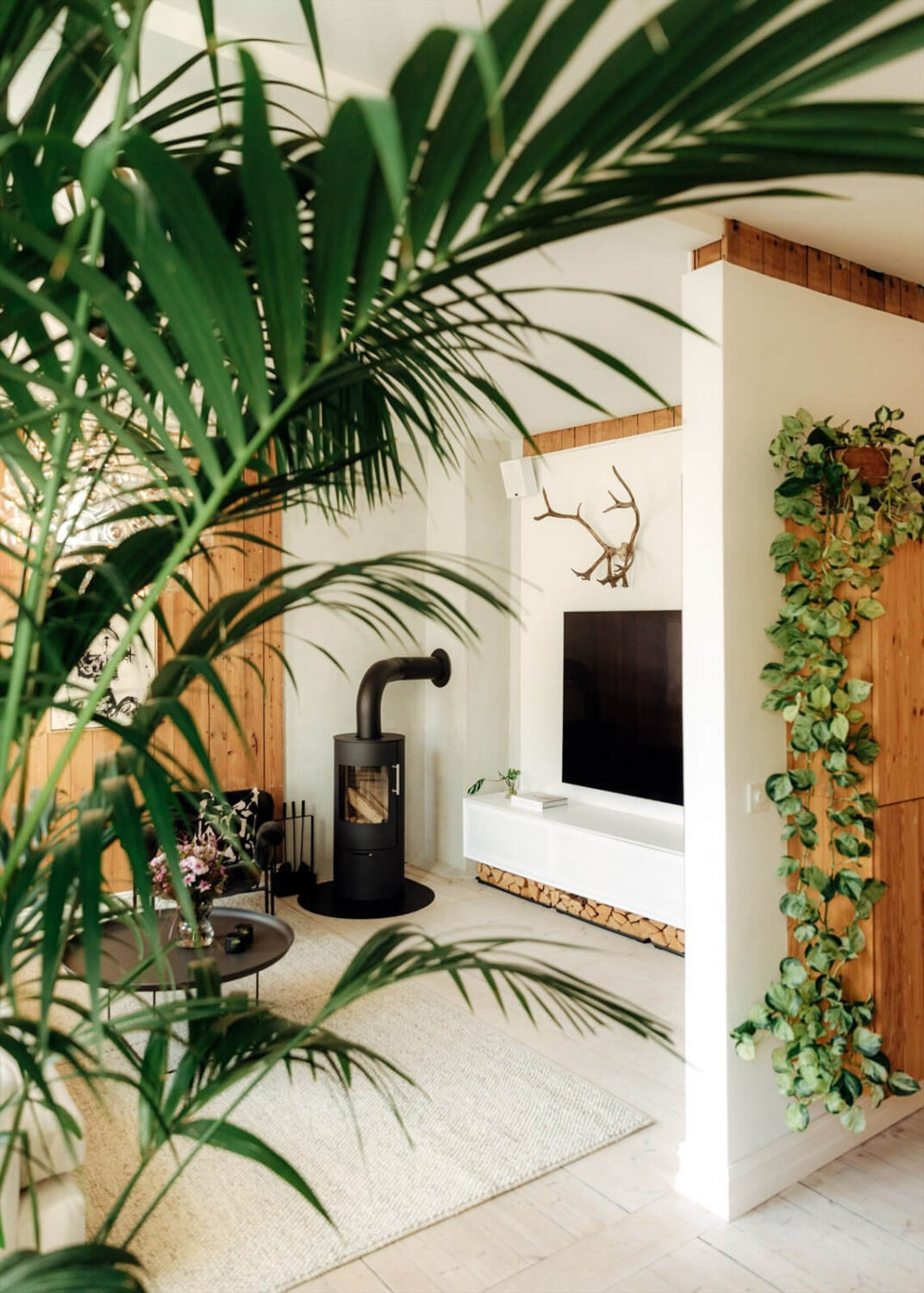 A Charming Norwegian Apartment with Wooden Walls 2 living-room-plants-scandi-apartment-nordroom