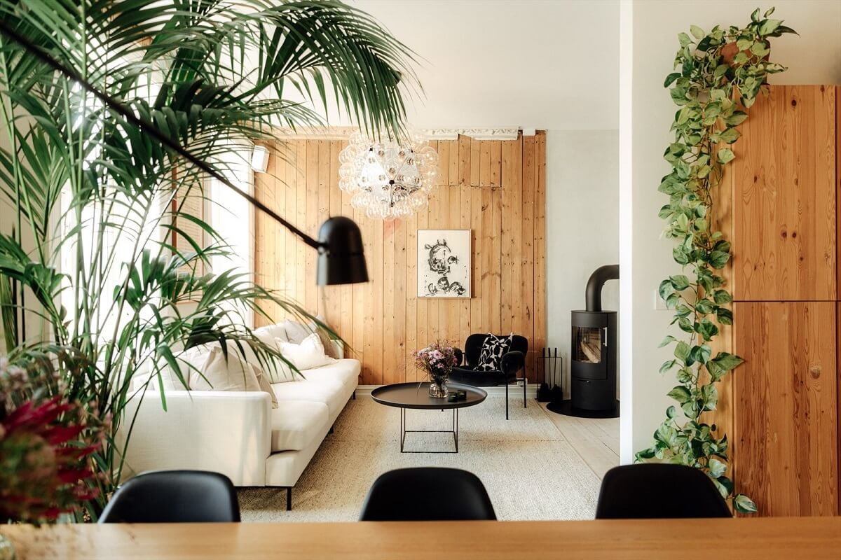 A Charming Norwegian Apartment with Wooden Walls 1 open-plan-living-space-wooden-wall-plants-nordroom