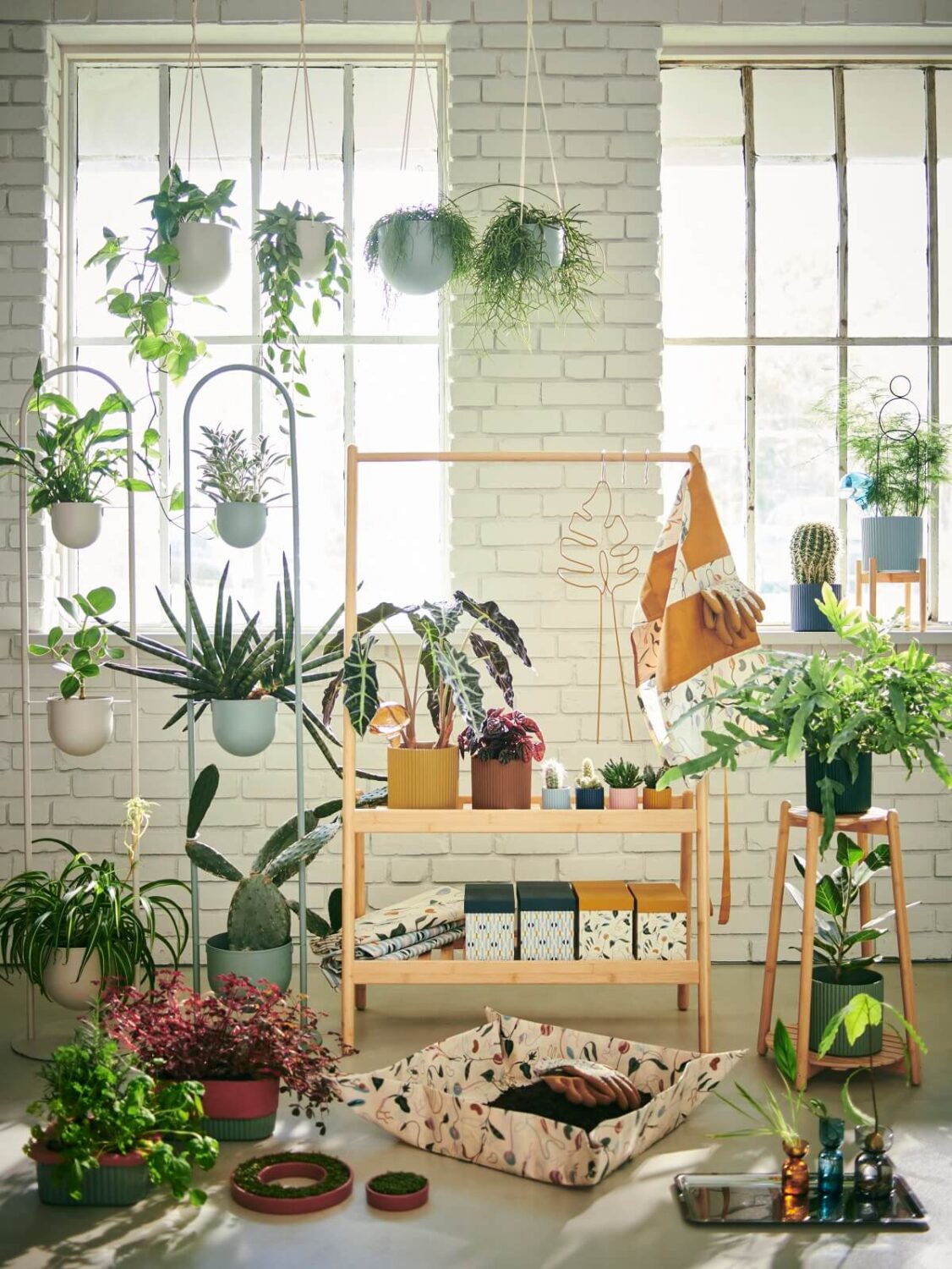 IKEA Catalogue 2026 + New IKEA Collections 73 ikea-daksjus-new-plant-collection-february-nordroom