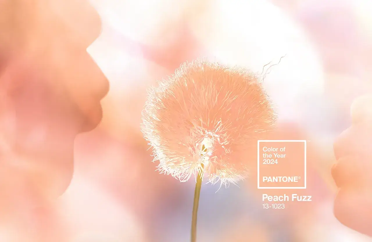 The Color Trends for 2024: Comforting Neutrals & Positive Accents 11 pantone-color-of-the-year-2024-peach-fuzz