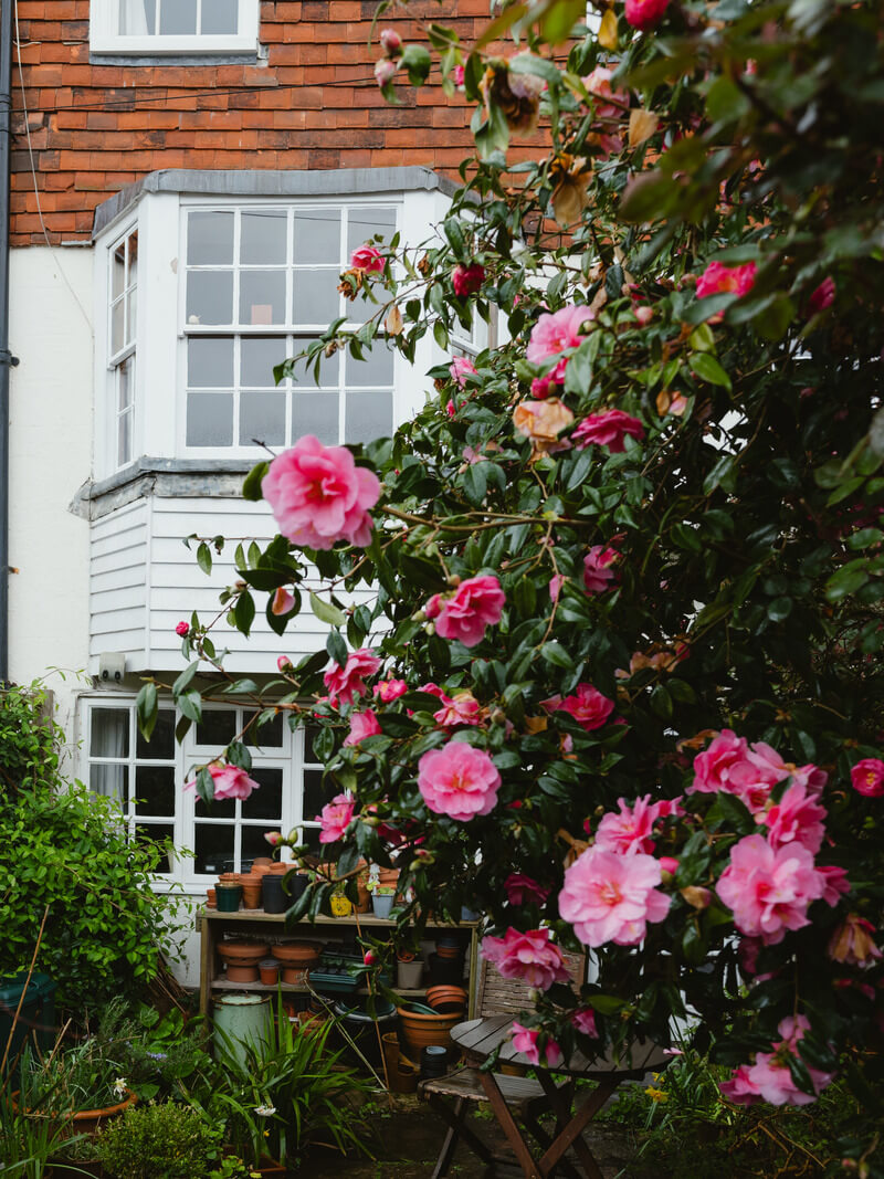 A Cozy Historic English House with Exposed Beams 17 Hill Street Hastings 4 A Cozy Historic English House with Exposed Beams