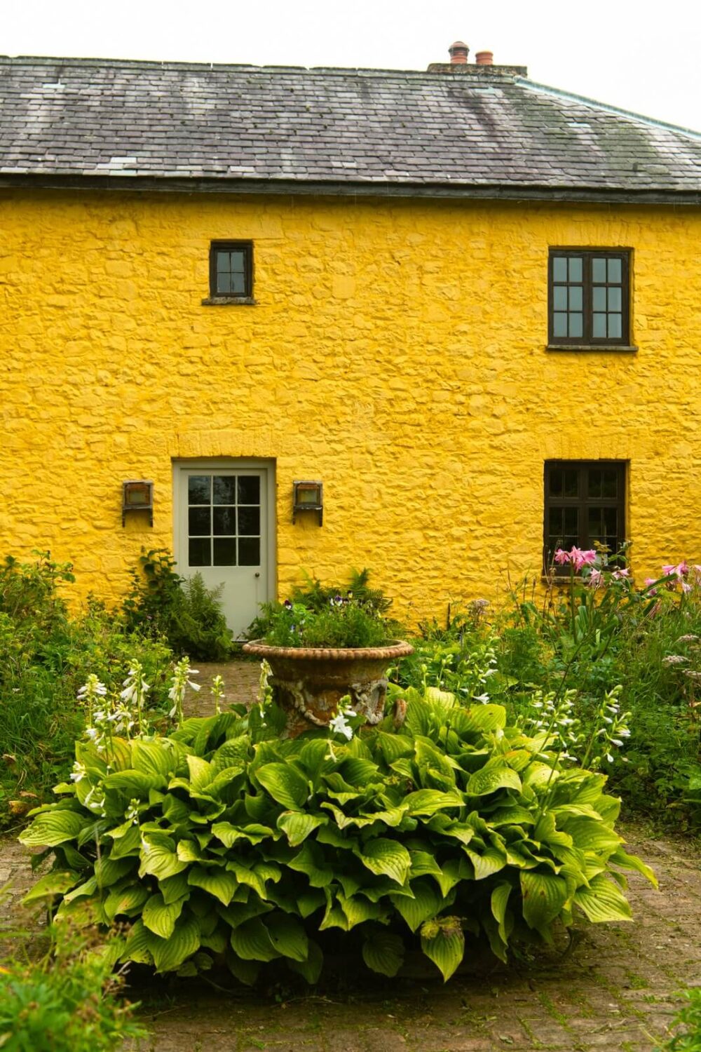 Dulux Colour of the Year 2025: True Joy 43 yellow farmhouse Dulux Colour of the Year 2025: True Joy