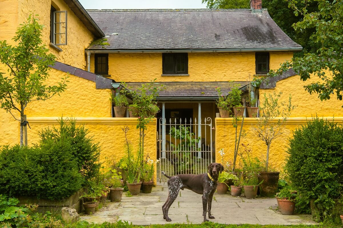 Dulux Colour of the Year 2025: True Joy 44 yellow farmhouse wales