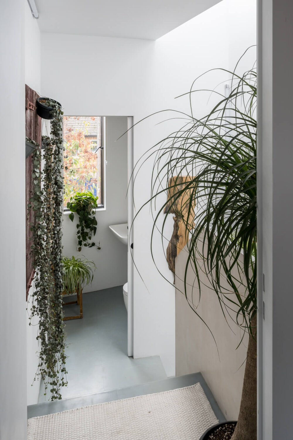 A Unique House in London with Plant-Filled Interiors and a Lush Garden 19 first floor landing plants