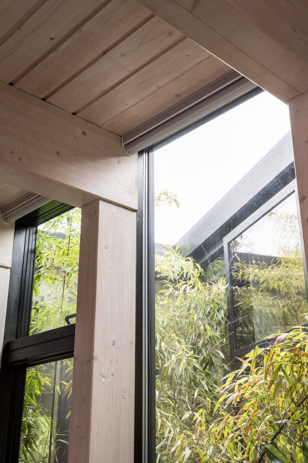 A Unique House in London with Plant-Filled Interiors and a Lush Garden 14 large window detail