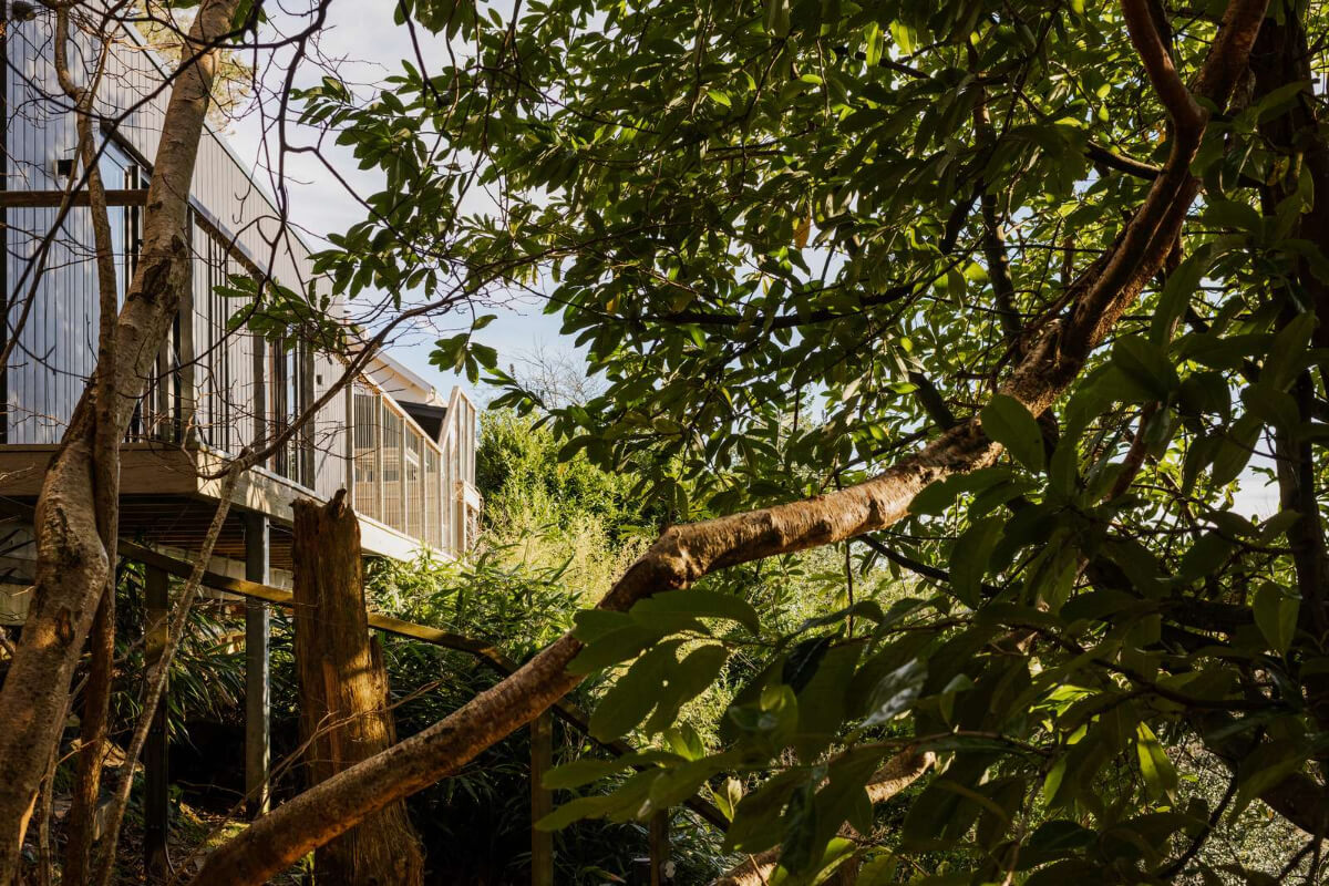 A Japanese-Inspired Timber Home with Views of a Lush Valley 23 treetop house