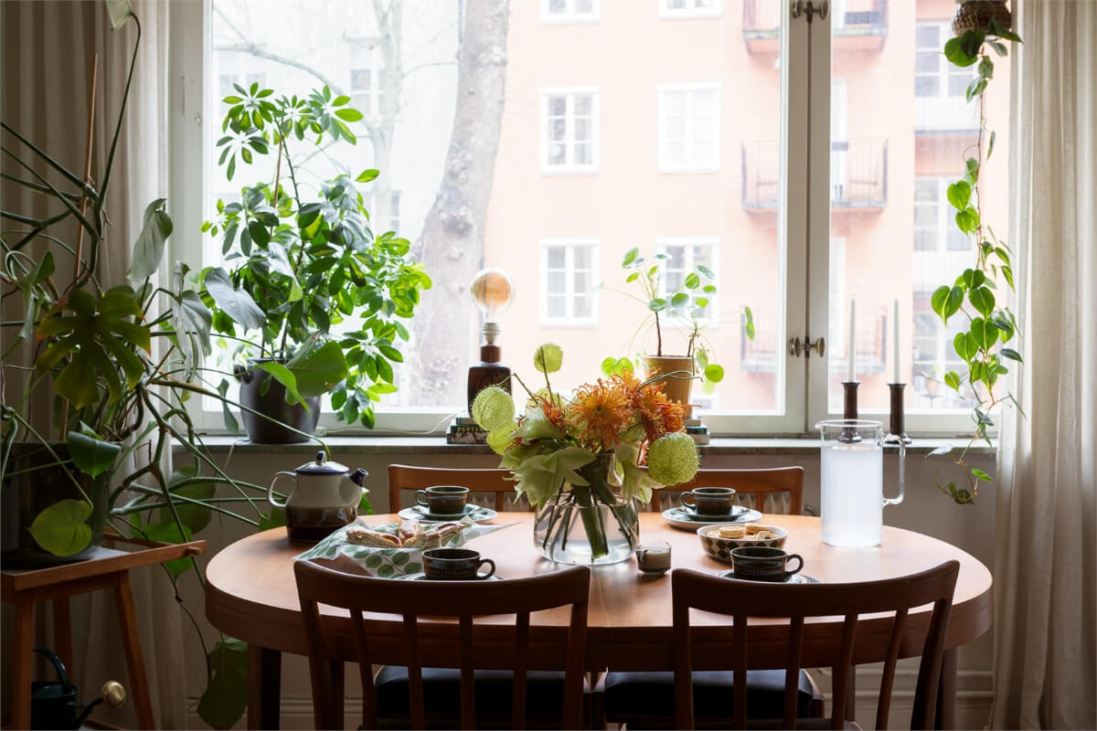 A Small Open-Plan Apartment with Midcentury Furniture 6 vintage table and plants