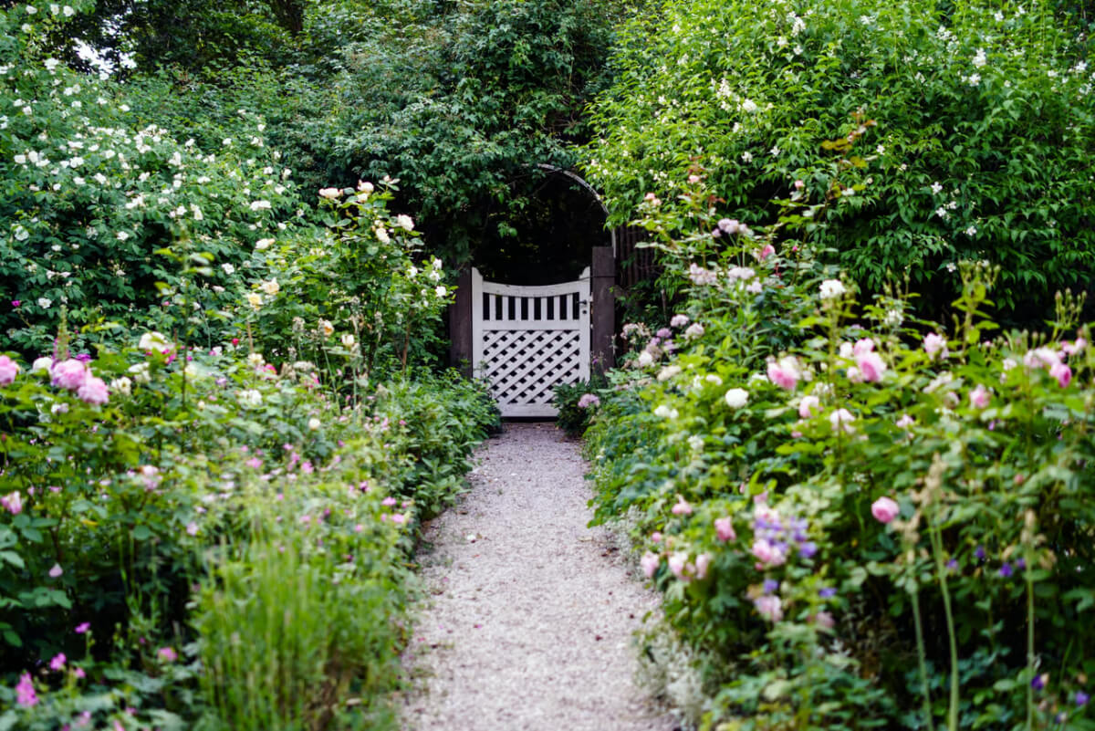 Best of 2025: Balconies and Gardens 55 rose garden