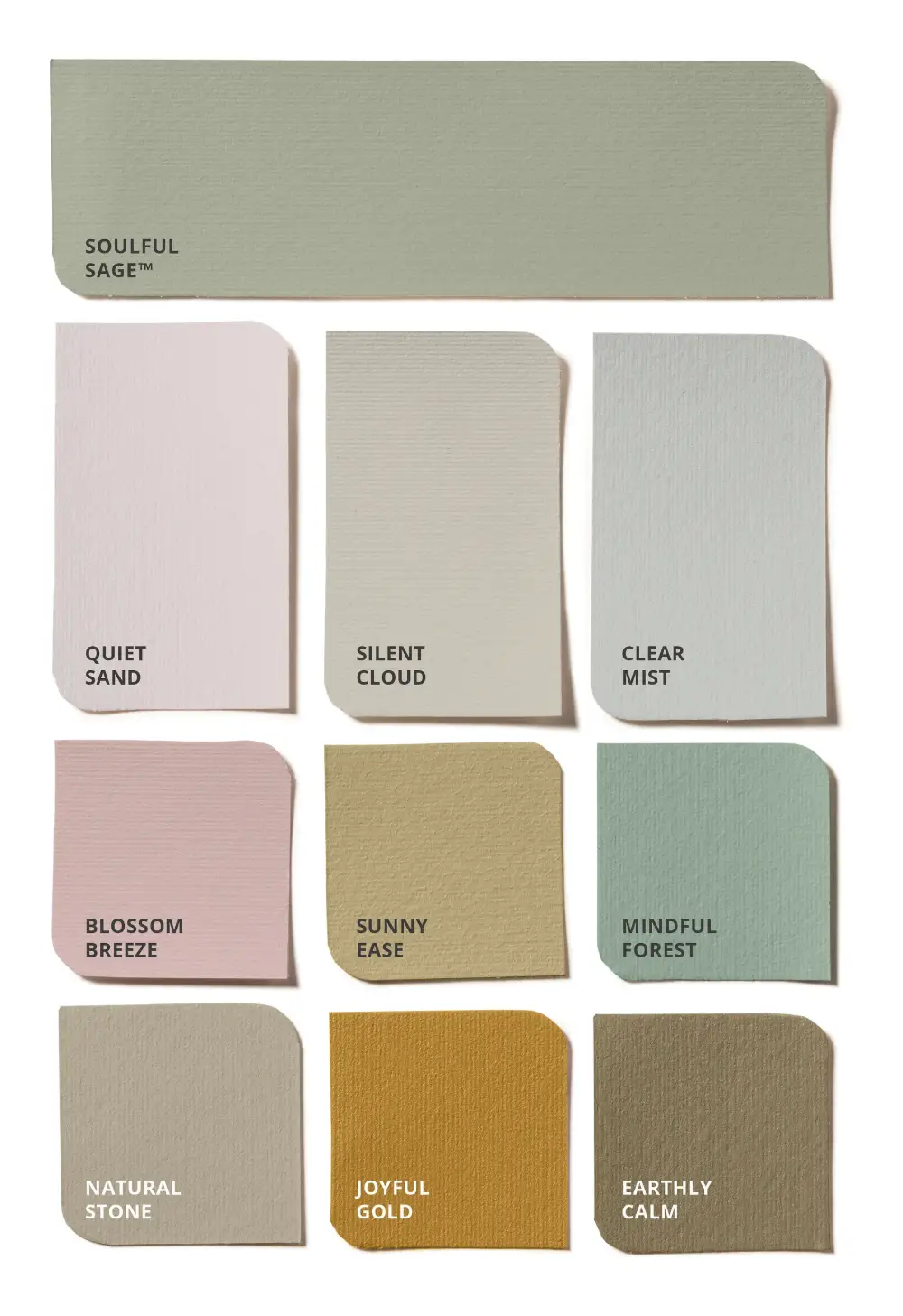 Dulux 2027 Color of the Year: A Soft, Silvery and Quietly Uplifting Green 23 lift-color-palette-flexa-dulux-color-of-the-year-2027-soulful-sage-nordroom